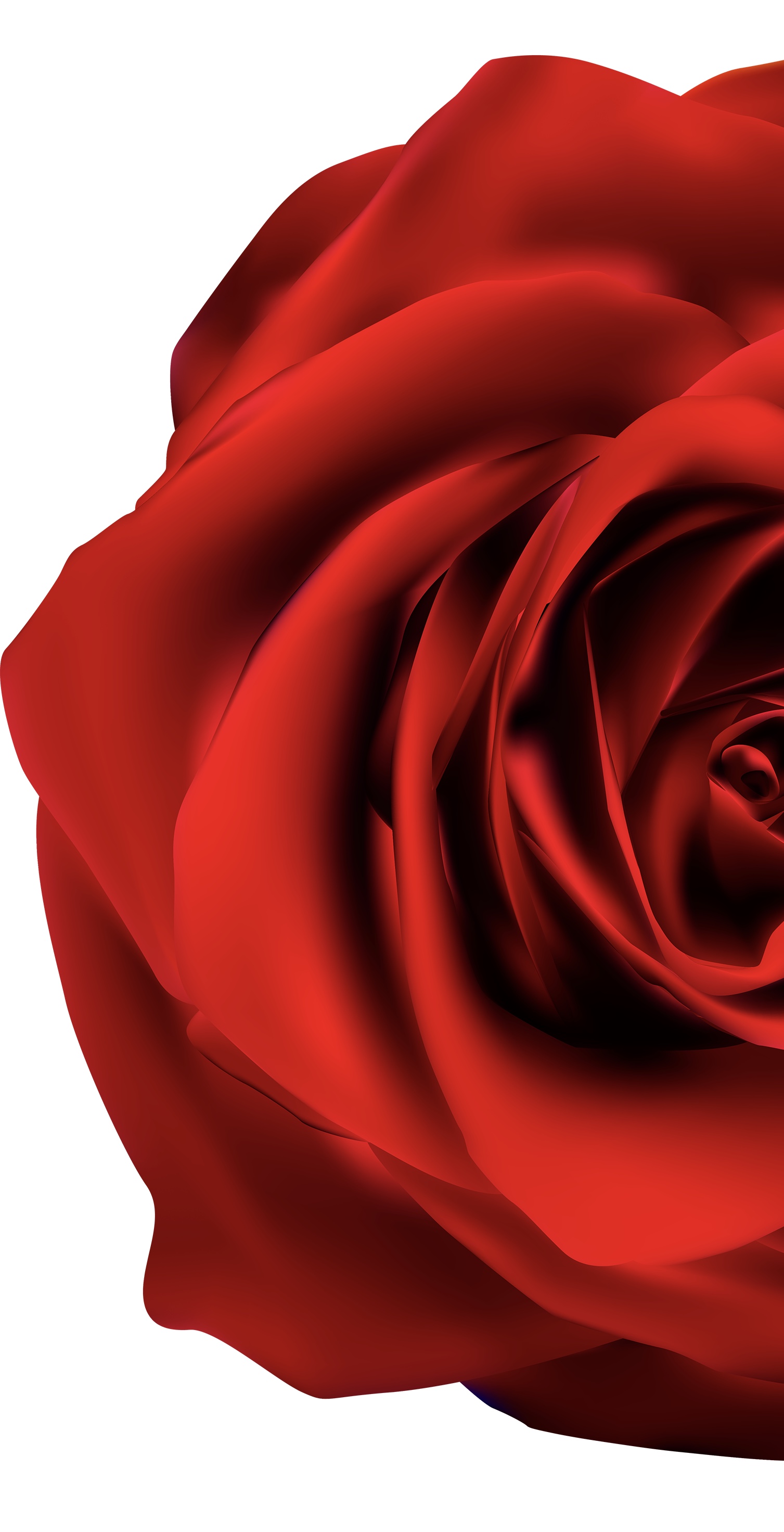 0A31E4C3-95CF-45D6-A89F-3523ED167D2A.jpeg
