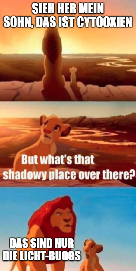 1600612032640.png