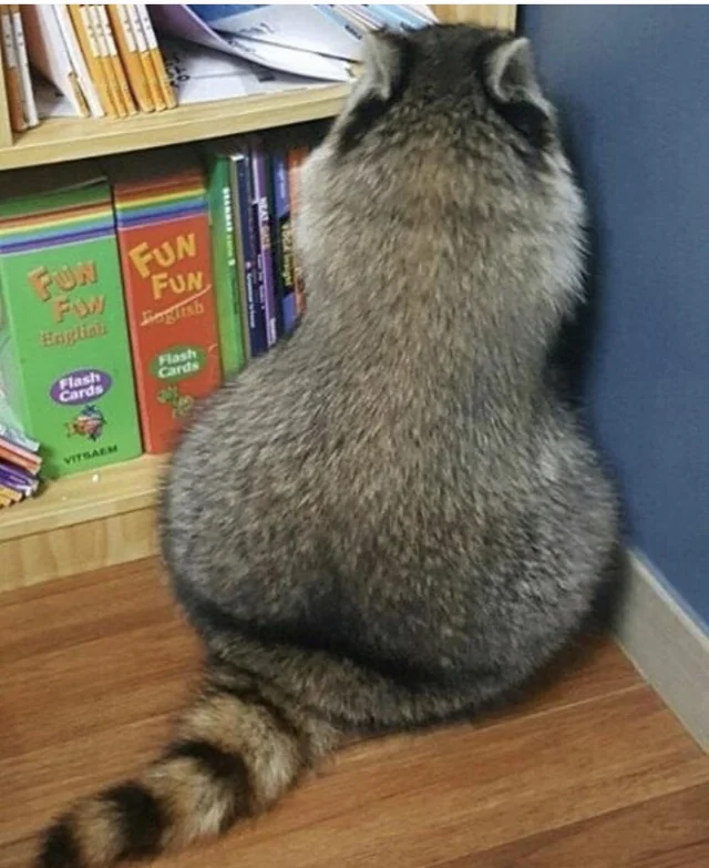 1681324055260.png