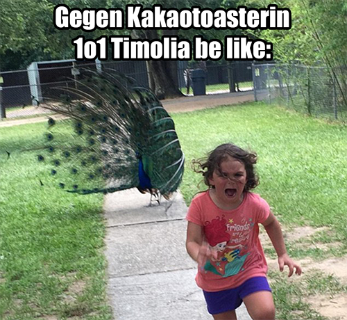 1o1 timolia.png