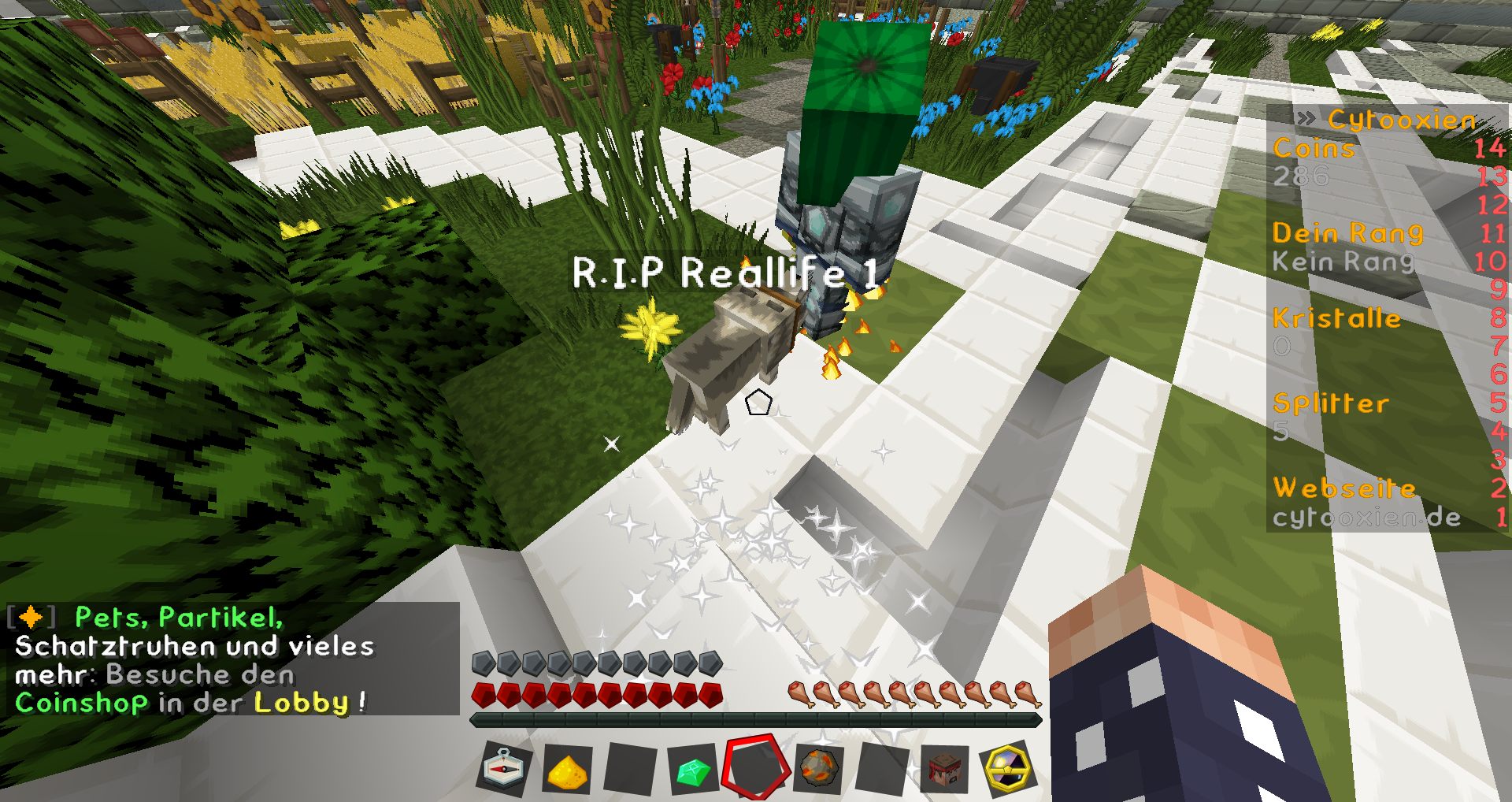 2015-07-12_10.55.19.png