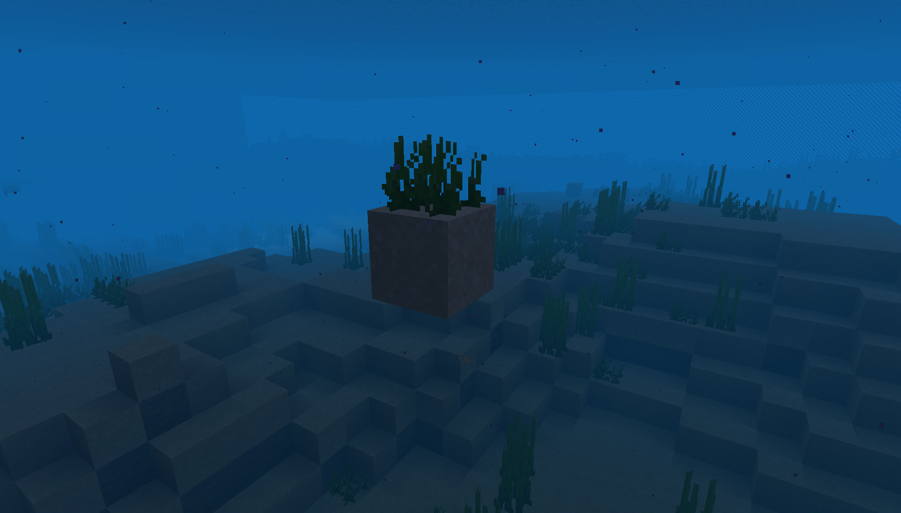 2021-07-13_02.25.11.png