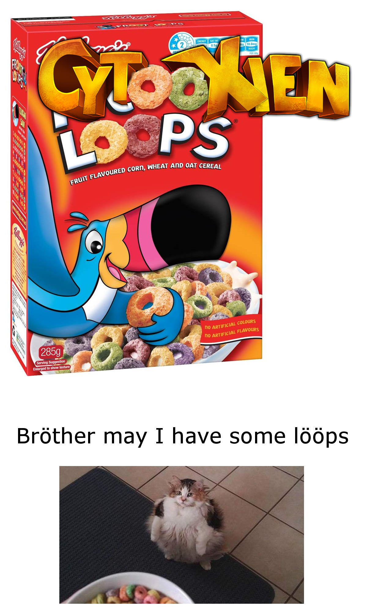 28.png