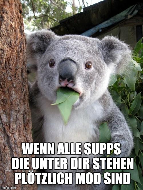 2di8di.jpg