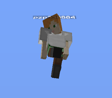 Anitcheat-Plug-Nervensaege.png