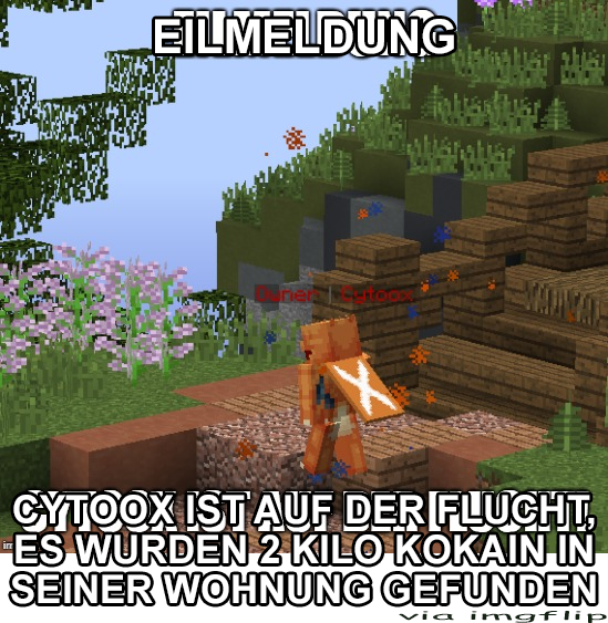 cytooxflieht.png