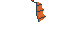elytra.png