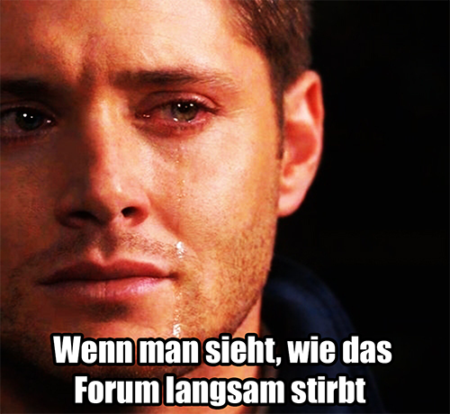 forum_stribt.png