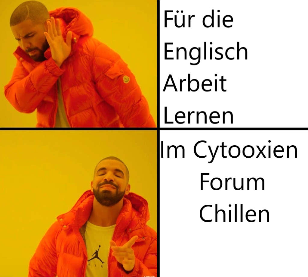 MEME.jpg