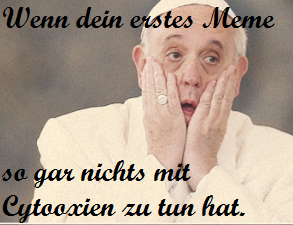 Papst Meme 1.png