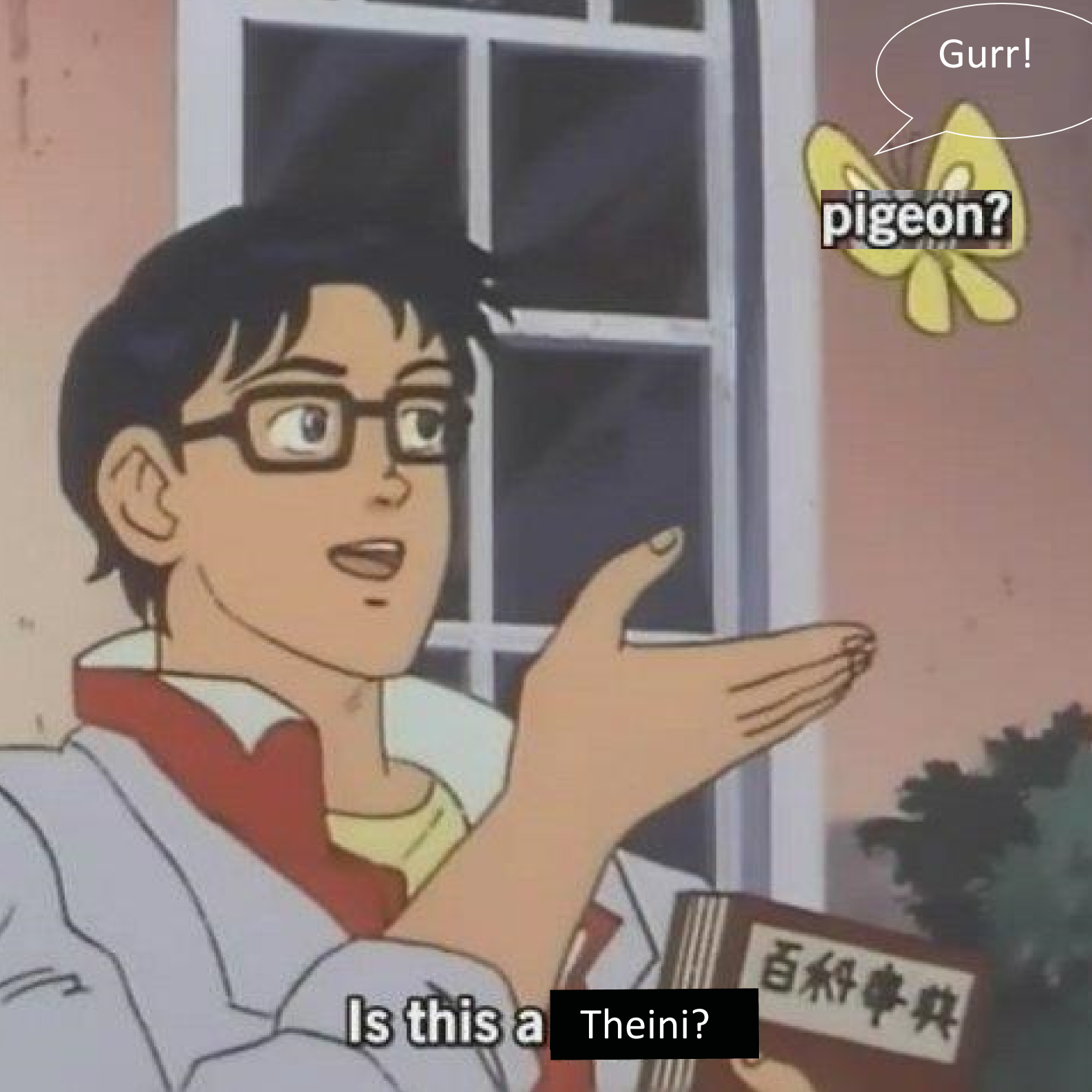 pigeon.png