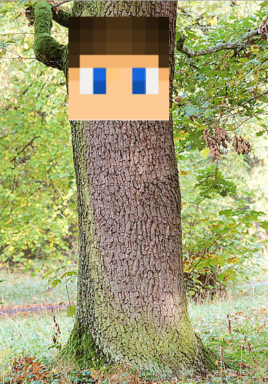 Stammspieler.png