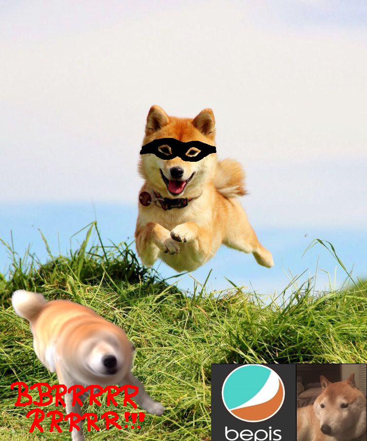 Super Shibe.png