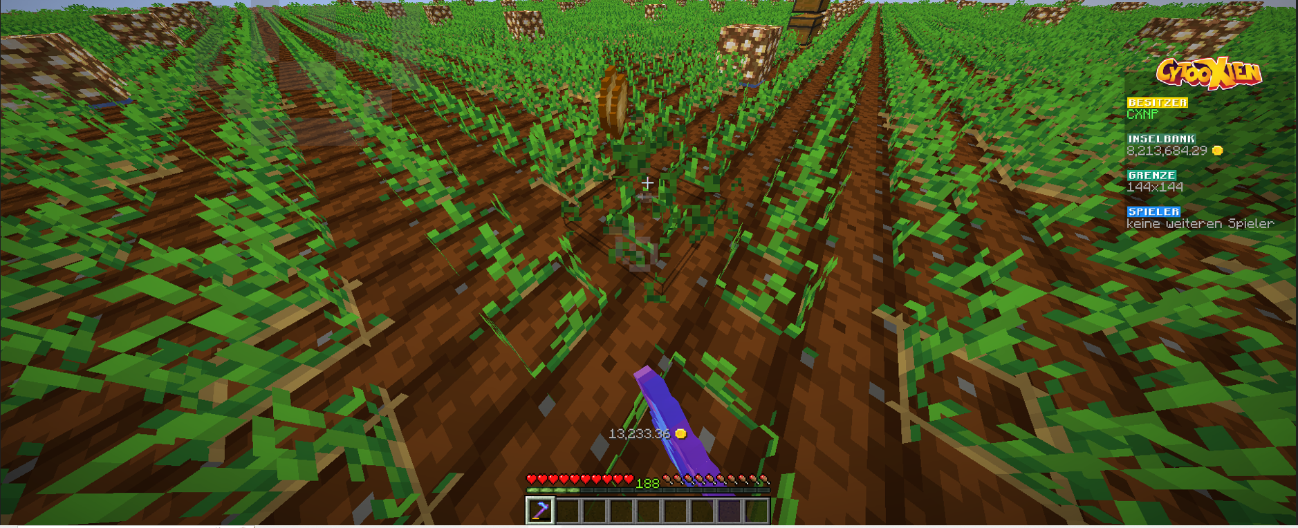 Superhacke 1.PNG