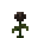 Wither_RoseZ.png