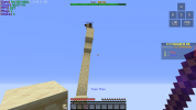 stickfight ne.png