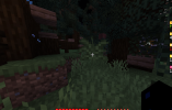 Bild_2023-08-06_010208685.png