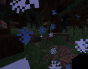 Bild_2023-08-06_010403764.png