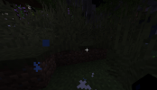 Bild_2023-08-06_013109183.png
