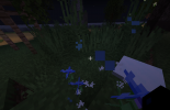 Bild_2023-08-06_013211285.png