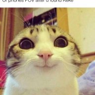 Sir_Killua