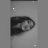 JustJacqui
