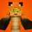 zCrazyFoxz