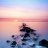 LeLi_LeLi