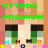 Skyhome99