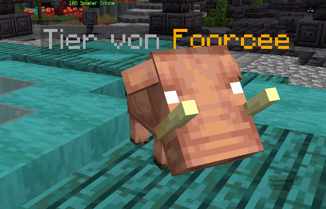 8m0gSTu.png